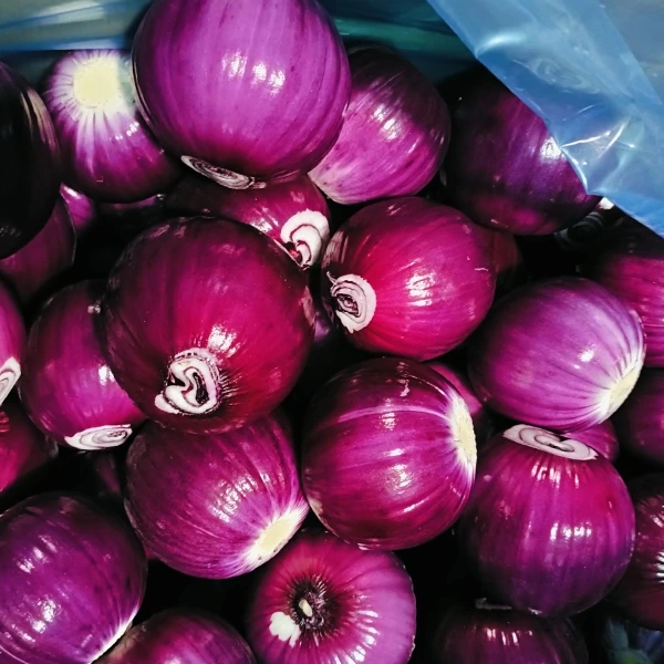 Huaang Food Processing guanya quota de mercat amb una qualitat estable