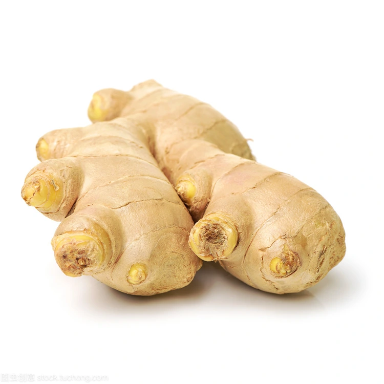 Per què és Premium Fresh Ginger l'opció preferida per als compradors conscients de la qualitat?