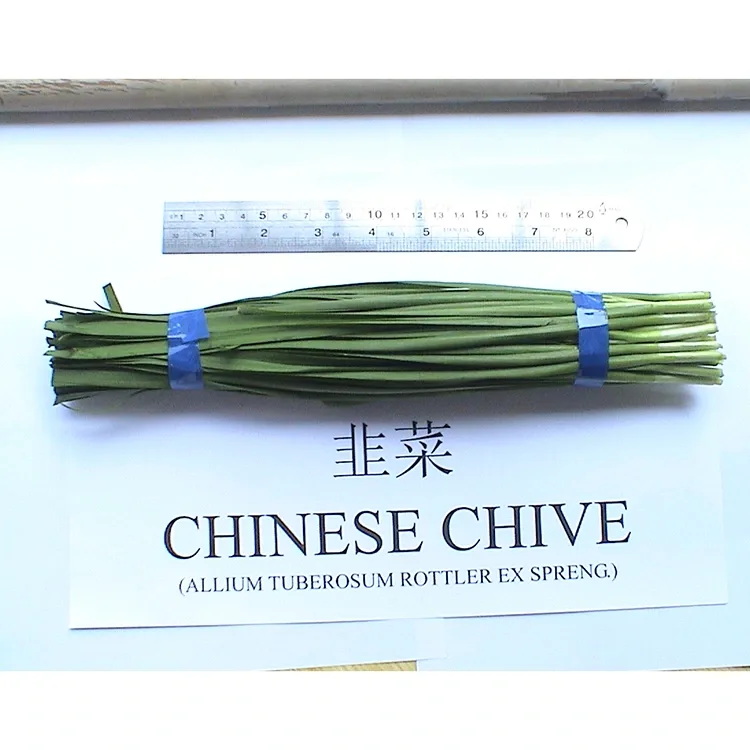 Per què la cibuleta xinesa fresca de granja s'utilitza àmpliament a la cuina asiàtica?