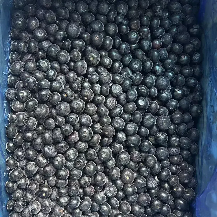 Nabius Congelats Premium IQF Nabius
