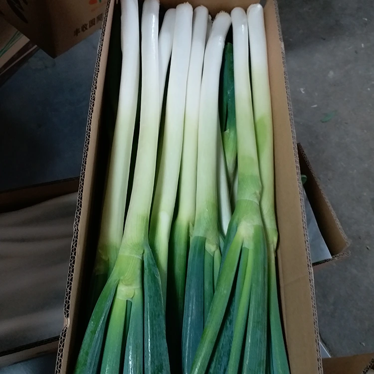 Cebes verdes cultivades de forma natural