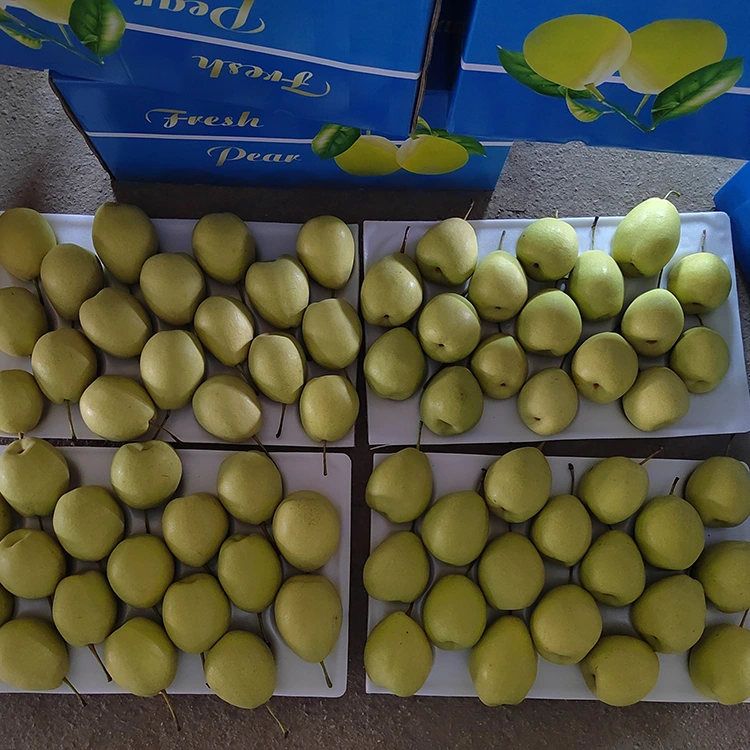 Peres de Shandong naturalment dolces