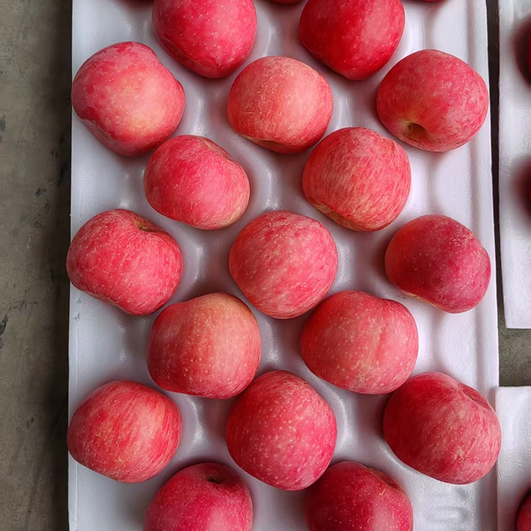 Pomes Fuji fresques premium