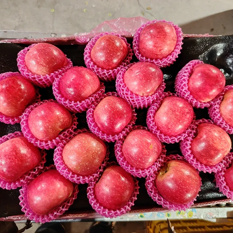 Pomes Jiguan fresques superiors
